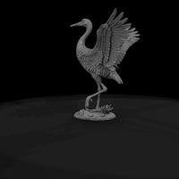 ant-130-sandhill-crane-male — thumbnail 7
