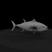 matte_3d_bluefin_tuna_fish_model_msmxzqox — thumbnail 7