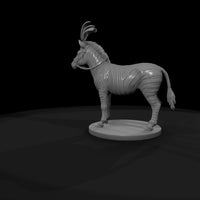 cir-123-animal-zebra — thumbnail 7
