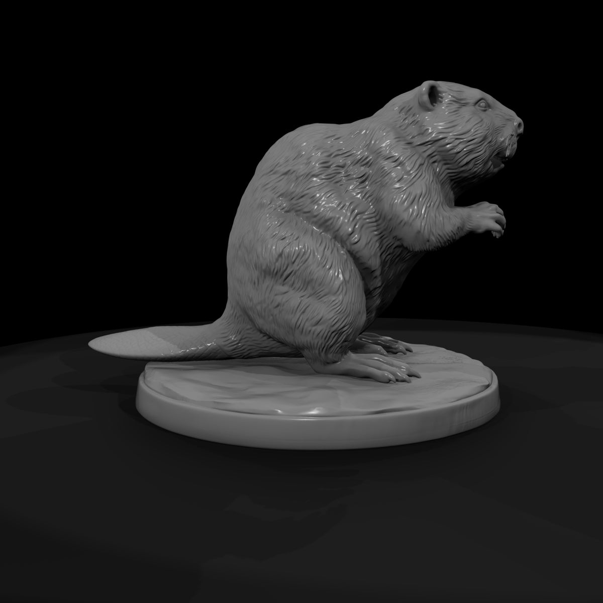 ant-188-beaver-female