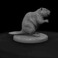ant-188-beaver-female — thumbnail 7