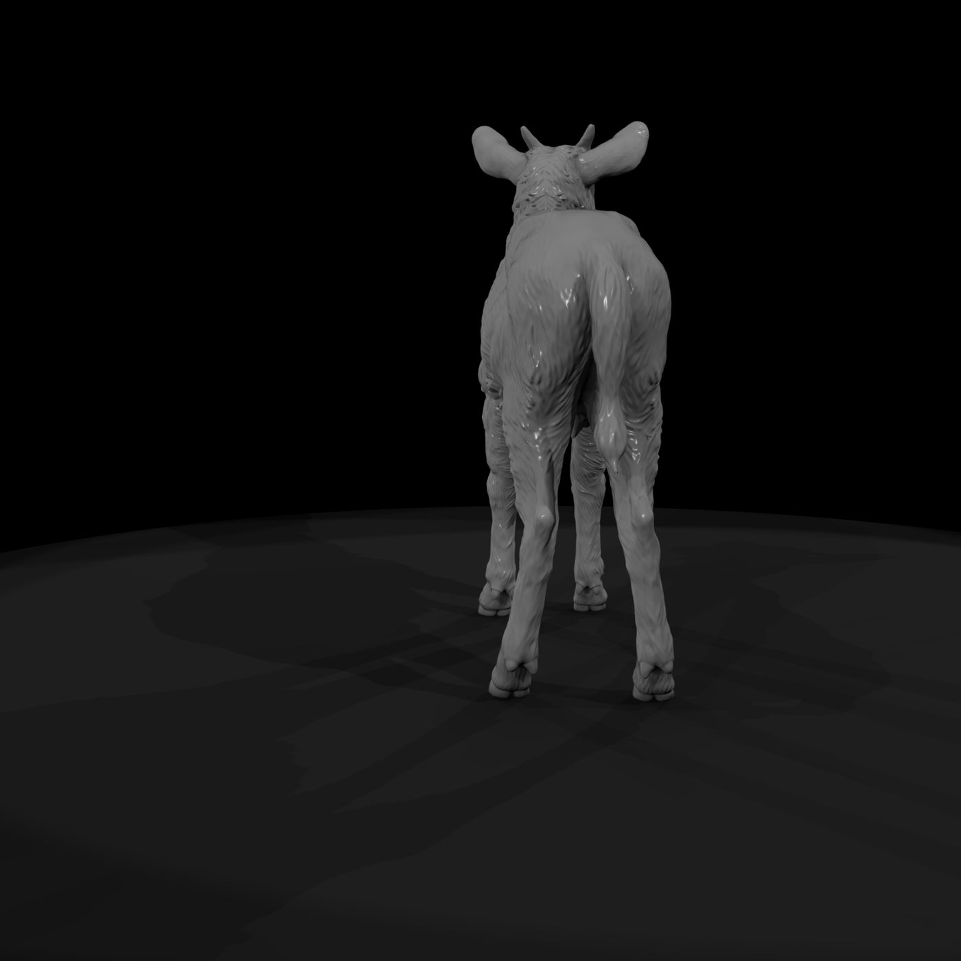 ant-249-waterbuck-adolescent