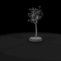 stylized-birch-tree-low-poly-diorama-tree-209959 — thumbnail 8