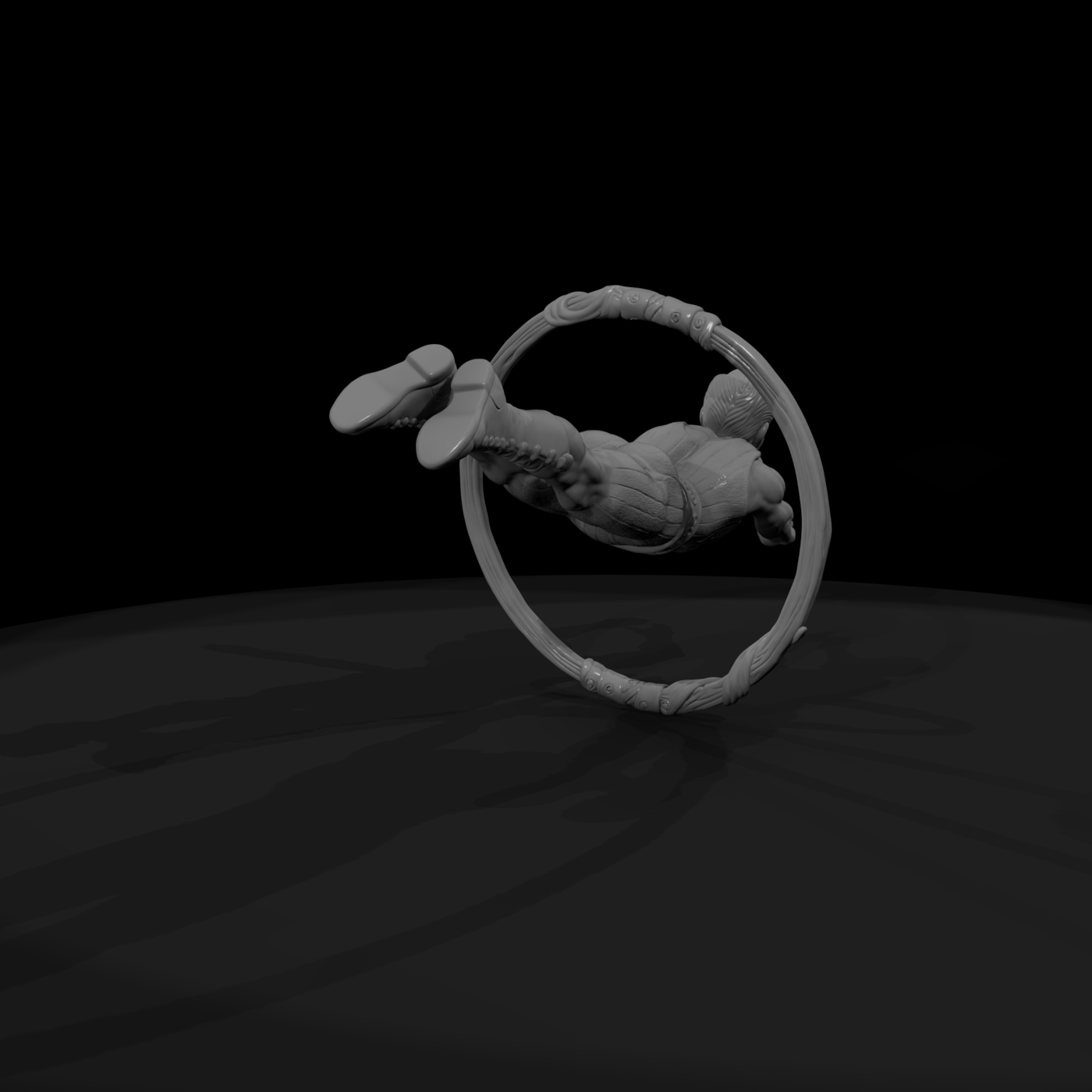 Cir 040 Performer Hoop Diver