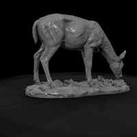 ant-071-white-tailed-deer-female — thumbnail 7