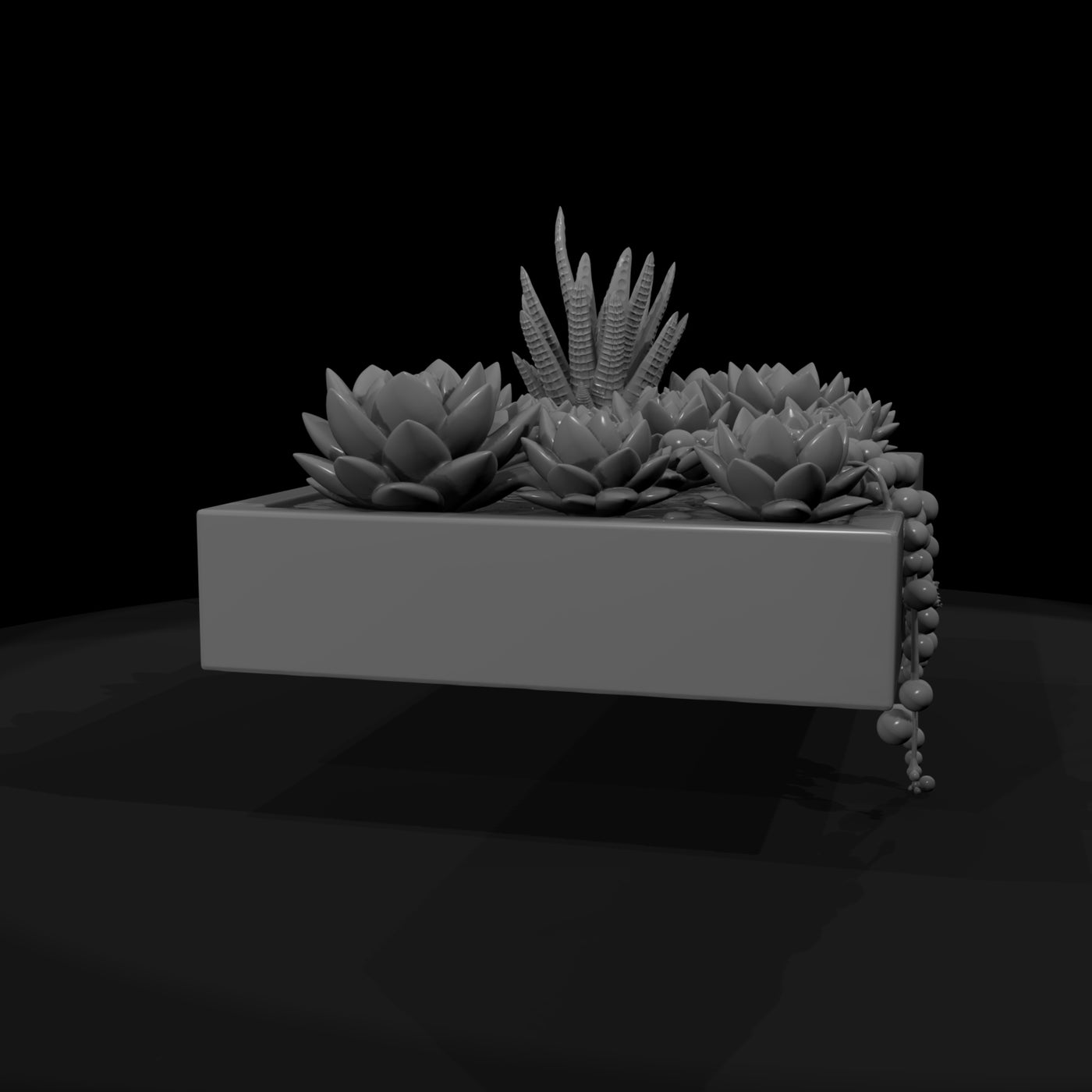 stylized-monochrome-succulent-garden-planter-phnxh