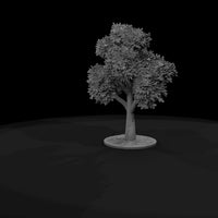 stylized-oak-tree-miniature-low-poly-diorama-model-railroad-scenery-497493 — thumbnail 8