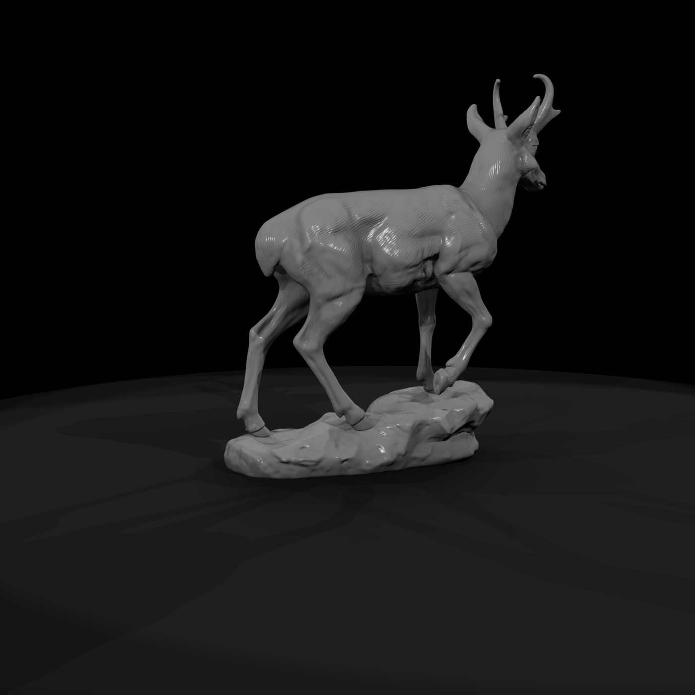 Ww 0315 Animal Pronghorn