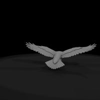 ant-115-golden-eagle-male — thumbnail 7