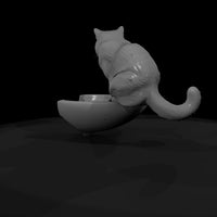 a-collection-of-housecats-turkish-0409da6c-meshref — thumbnail 7