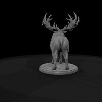 creature-p009 — thumbnail 7