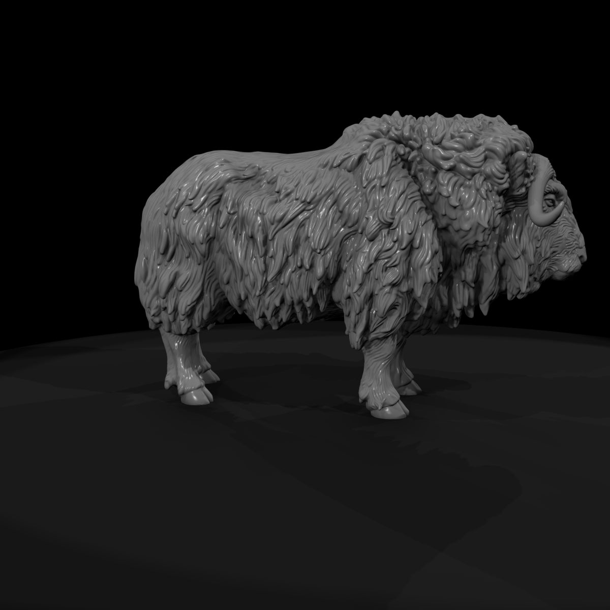 ant-272-musk-ox-female