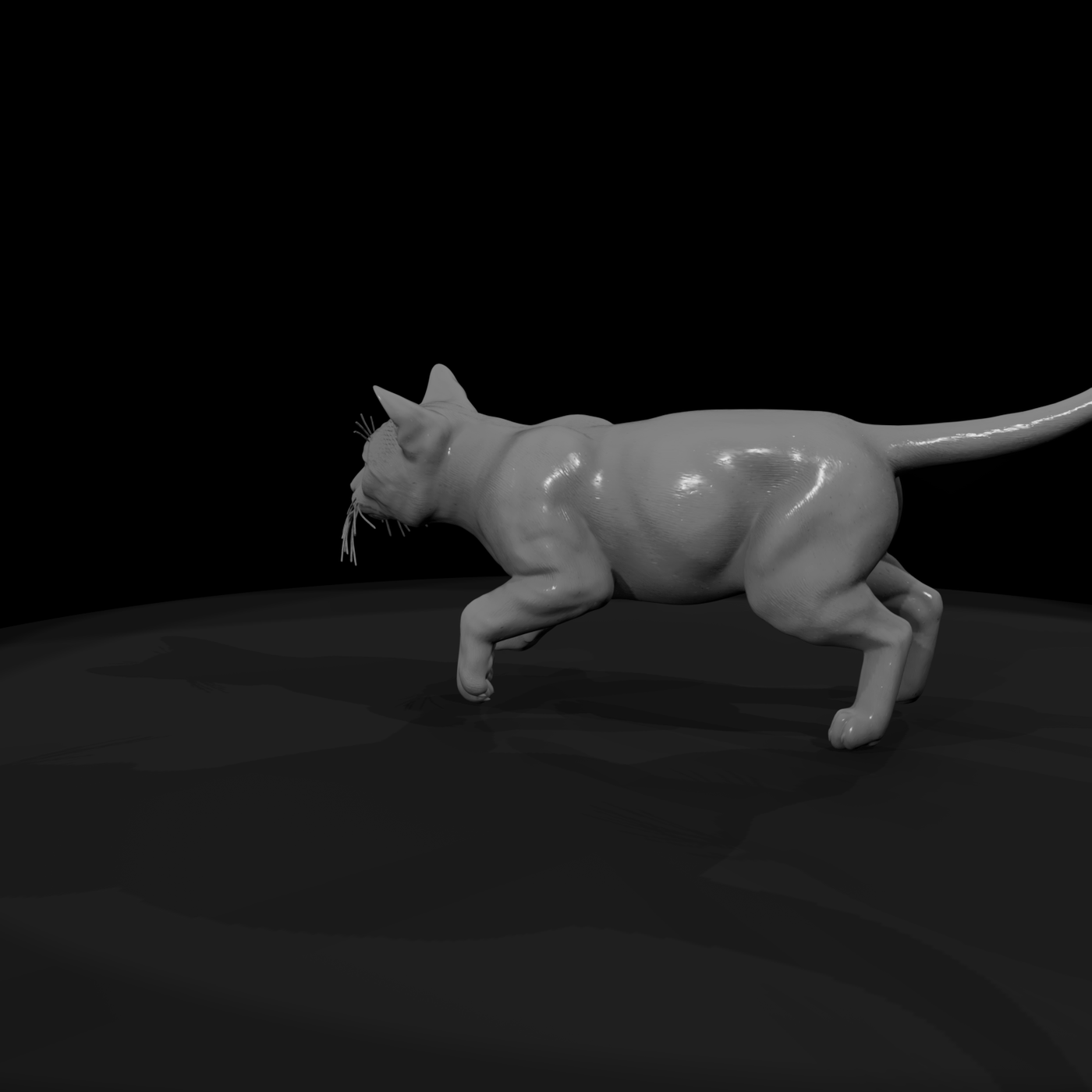 Ocicat Housecat Set