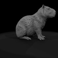 ant-256-capybara-male — thumbnail 7