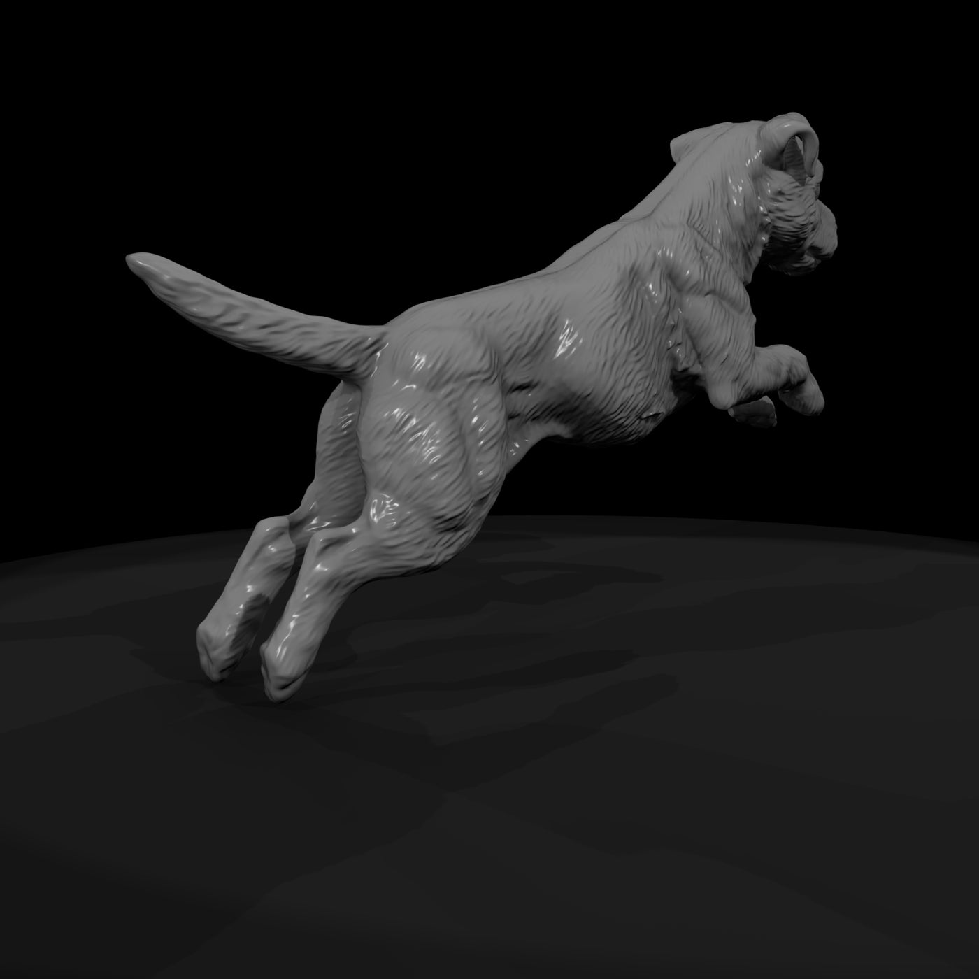 cir-125-animal-jumping-terrier