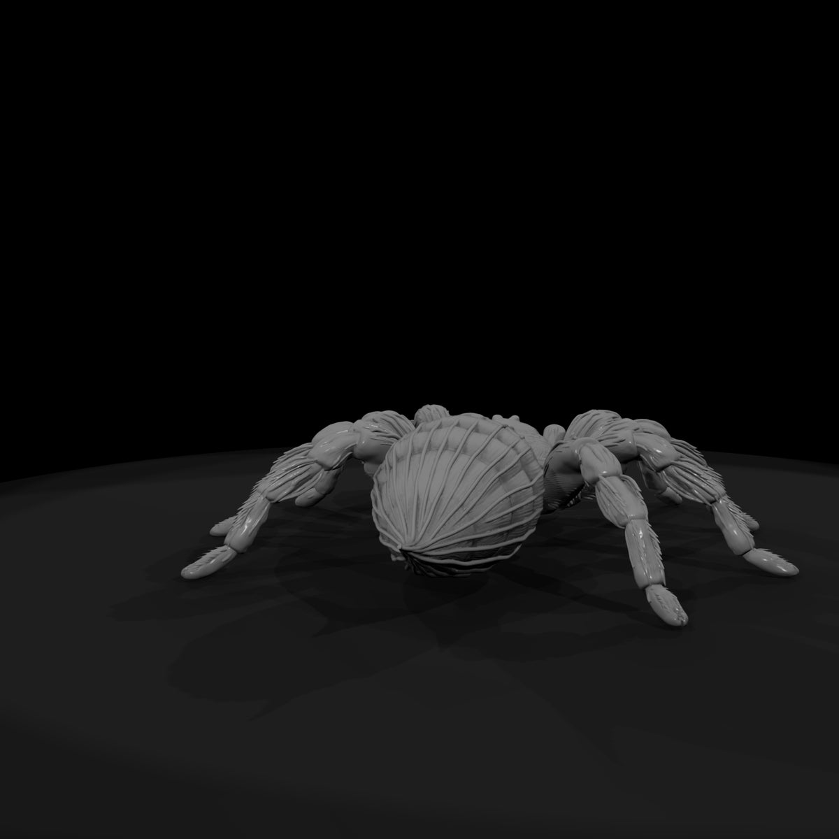 ww-0339-animal-tarantula
