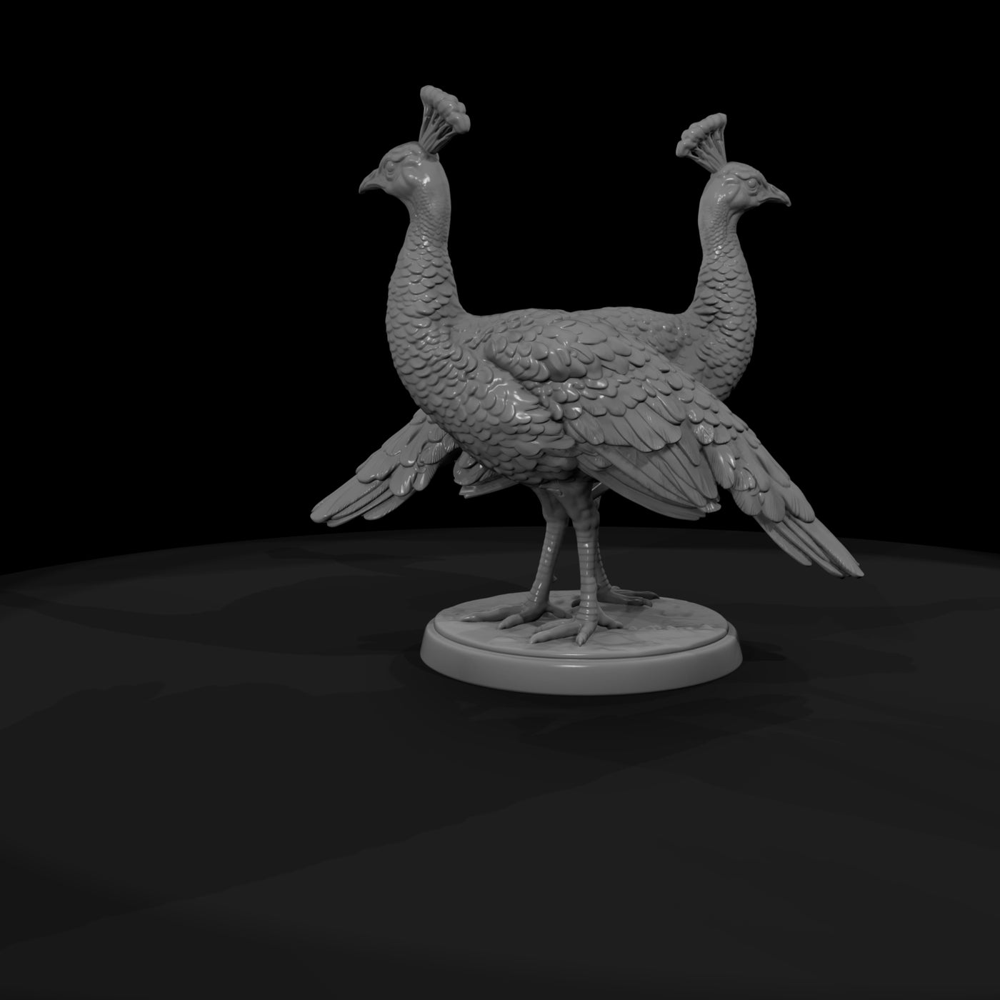 ant-087-indian-peafowl-adolescent
