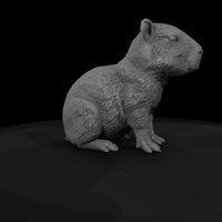 ant-258-capybara-adolescent — thumbnail 7