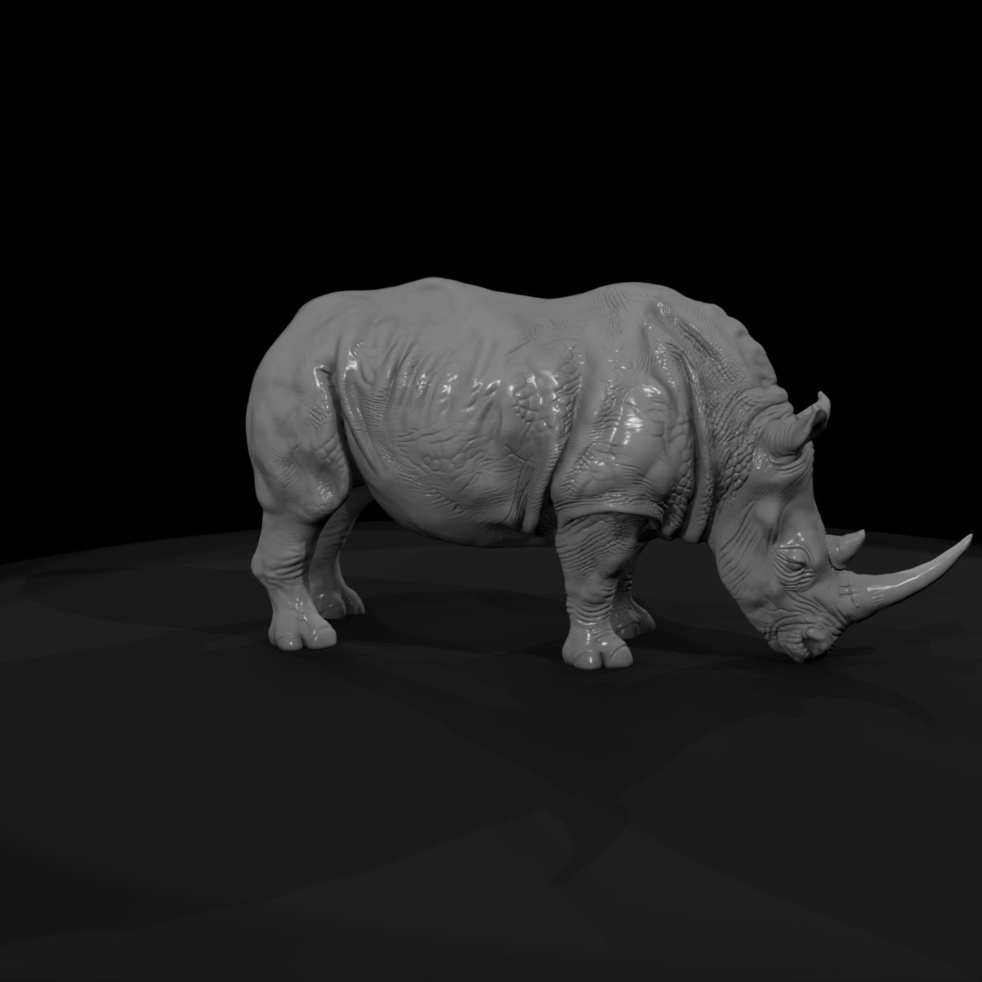 ant-031-white-rhinoceros-male