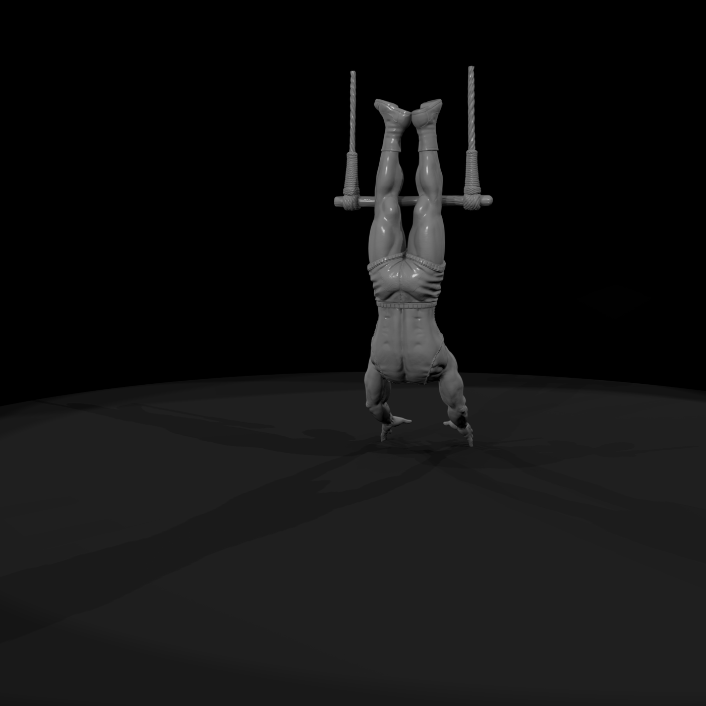 Cir 003 Performer Trapeze Catcher