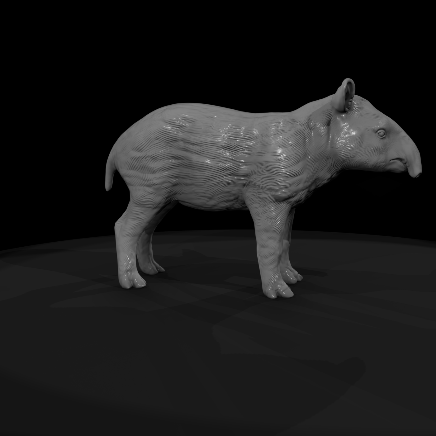 Malayan Tapir