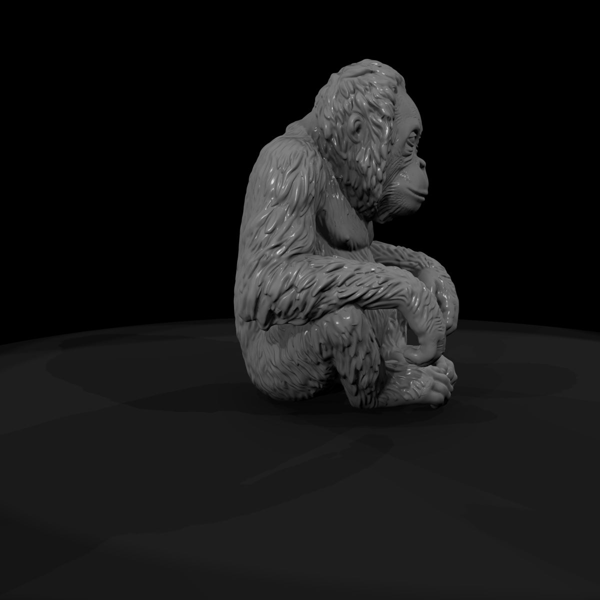 ant-111-orangutan-adolescent