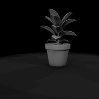 stylized-potted-rubber-plant-miniature-910726 — thumbnail 8