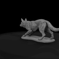 ww-0306-animal-cattle-dog — thumbnail 7