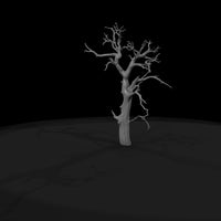 20260612-ancient-gnarled-dead-tree-d8d5631dc7 — thumbnail 8