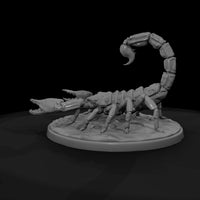 ww-0340-animal-desert-scorpion — thumbnail 7