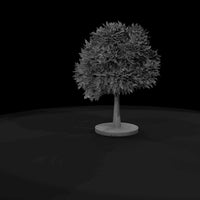 stylized-maple-tree-low-poly-diorama-model-railway-tree-501609 — thumbnail 8