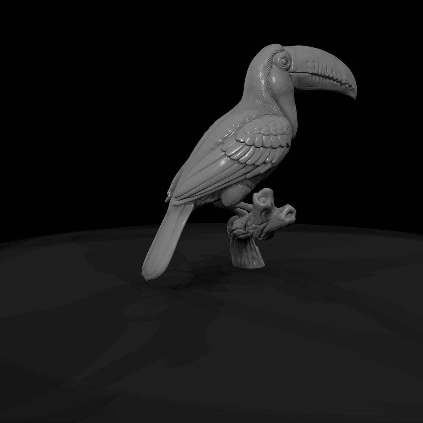 ant-286-toco-toucan-male