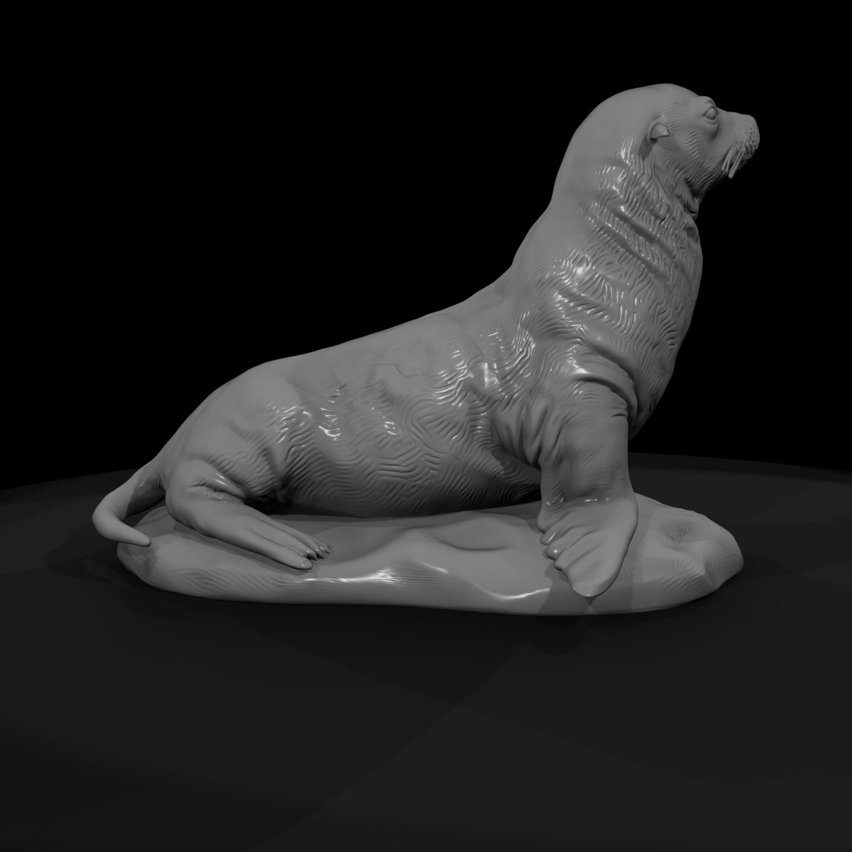 ant-140-sea-lion-female