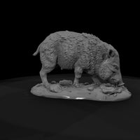 ww-0321-animal-javelina — thumbnail 7