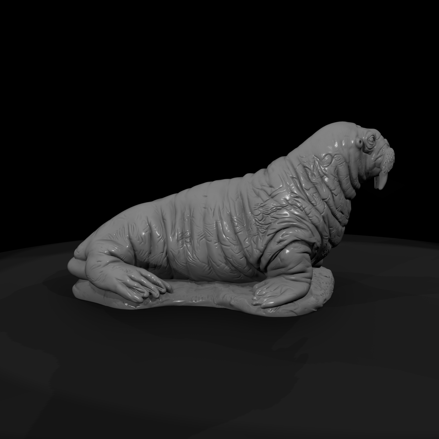 Ant 143 Walrus Female