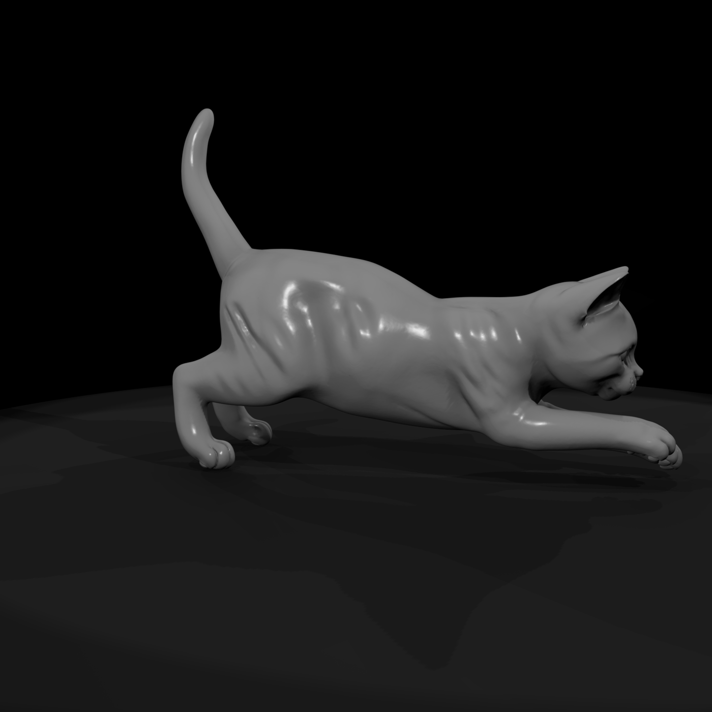 Playful Domestic Cat