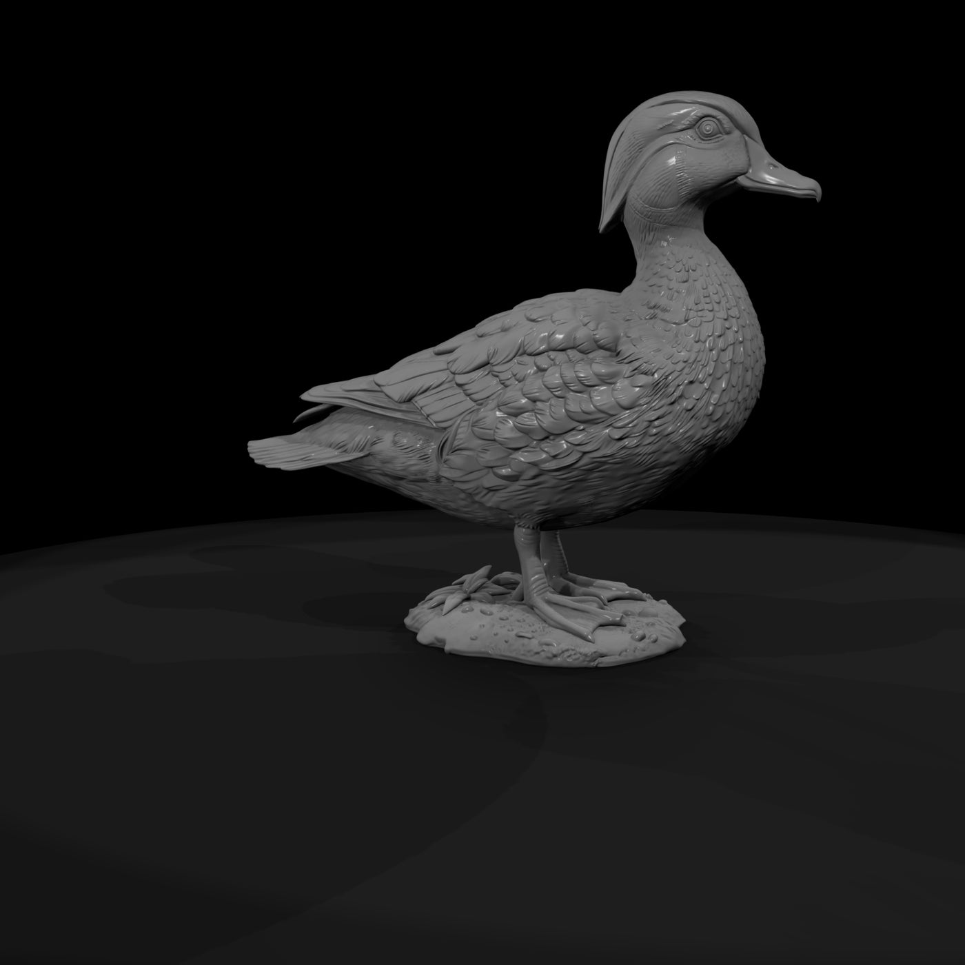 ant-092-wood-duck-female
