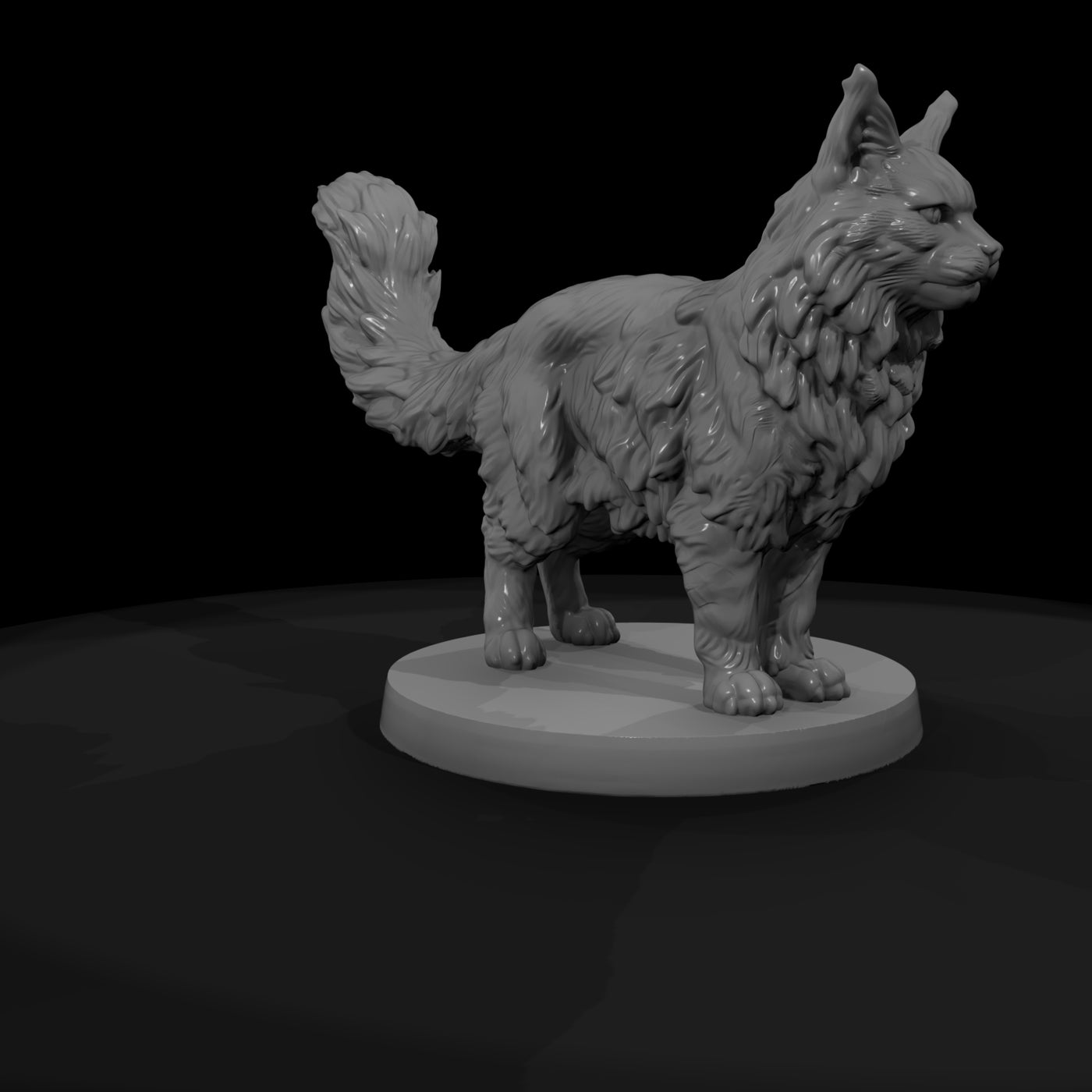 anim-16-maine-coon-cat-4bc6da