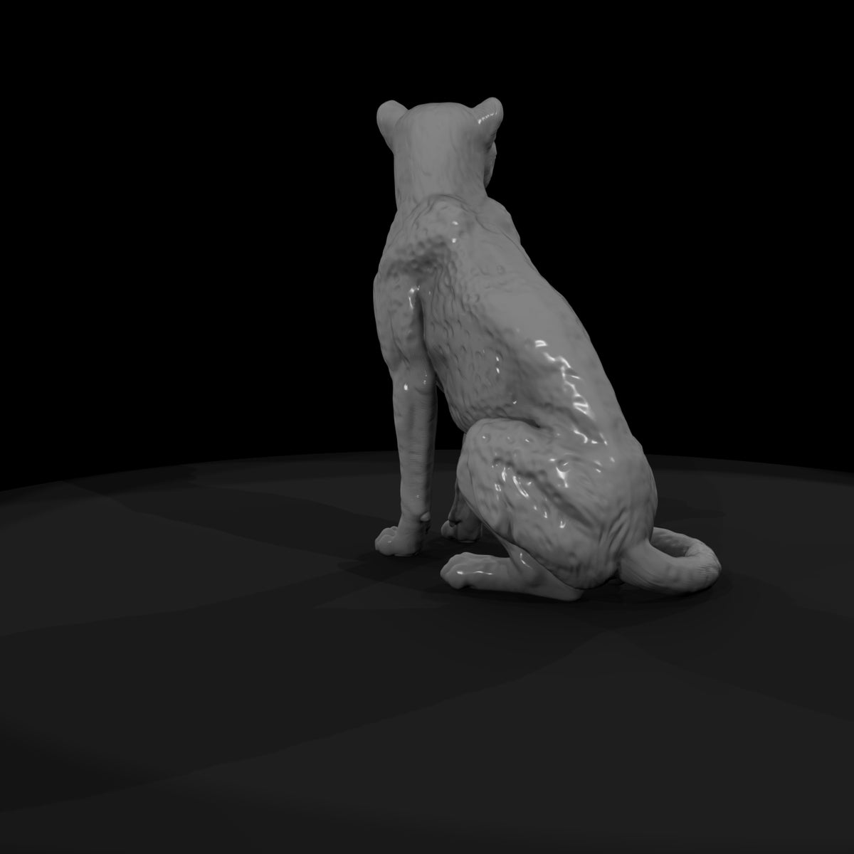 ant-011-cheetah-female