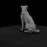 ant-011-cheetah-female — thumbnail 7