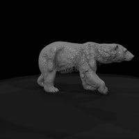 ant-209-polar-bear-female — thumbnail 7