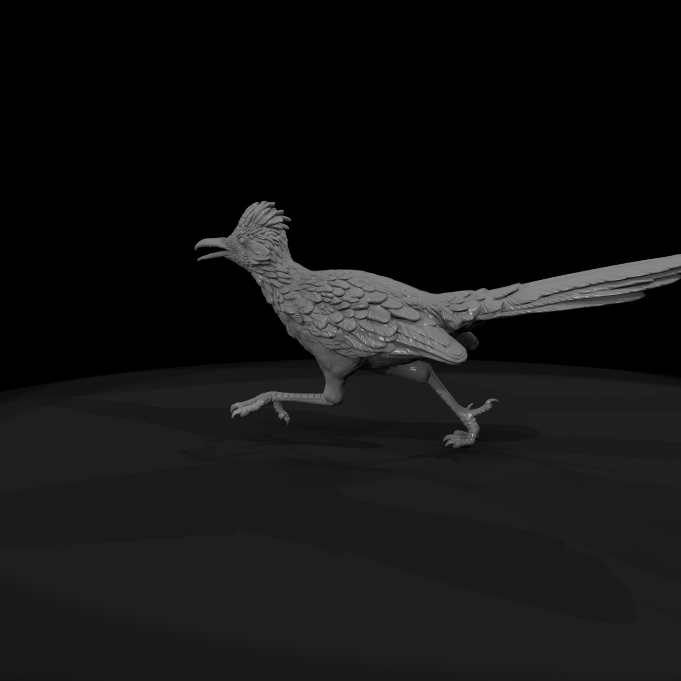 ww-0348-animal-roadrunner