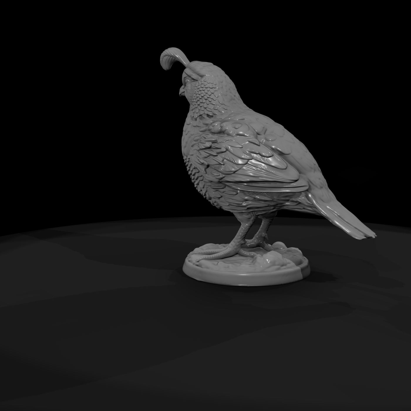 Ww 0349 Animal Gambel S Quail