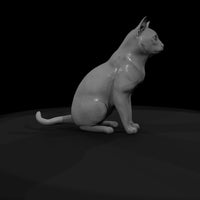 seated-tuxedo-cat-miniature-for-dioramas-railways-526681 — thumbnail 8