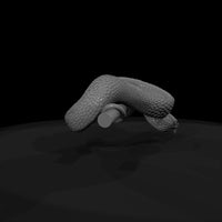 coiled-snake-on-branch-diorama-accent-452272 — thumbnail 8