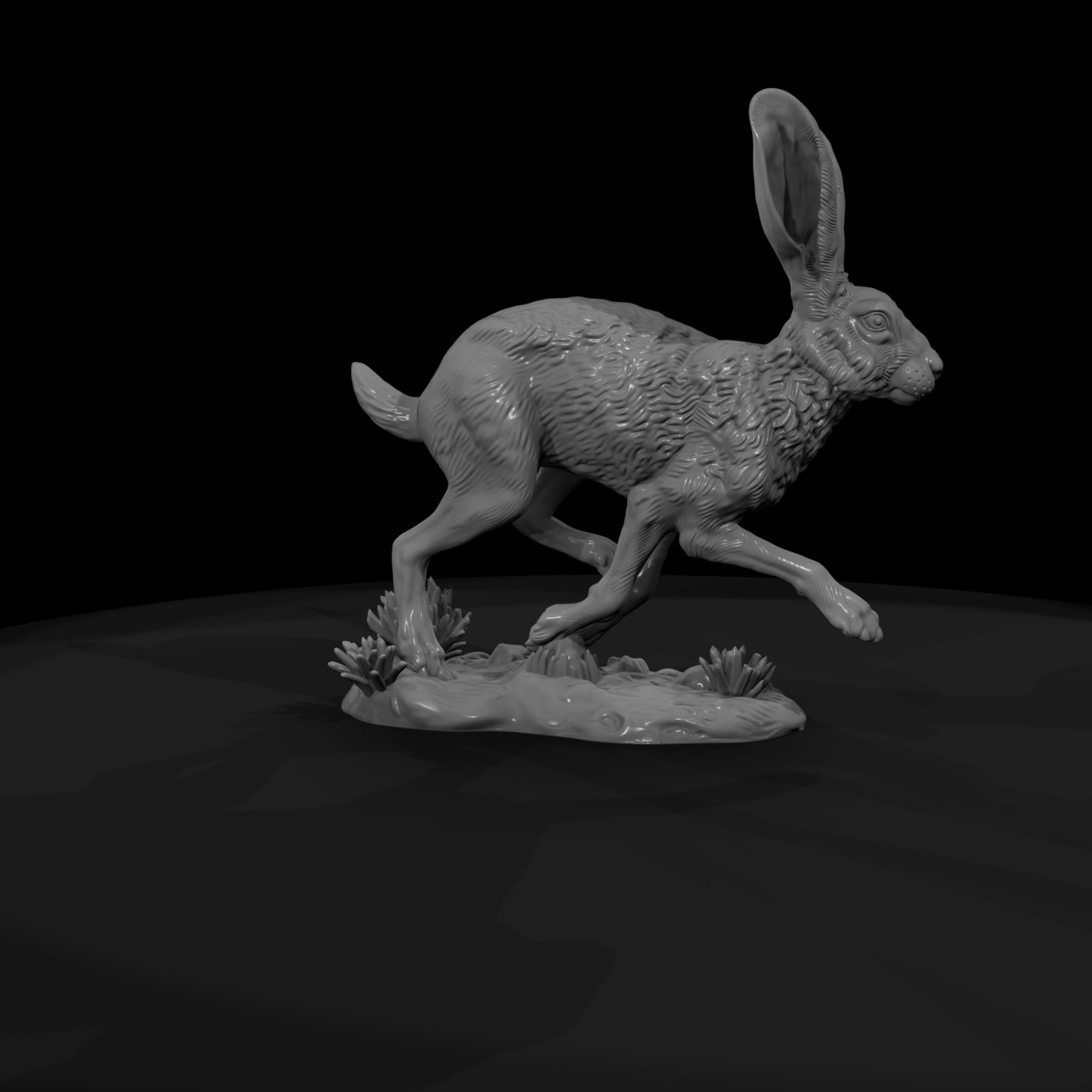 ww-0322-animal-jackrabbit