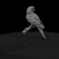 ant-284-scarlet-macaw-female — thumbnail 7