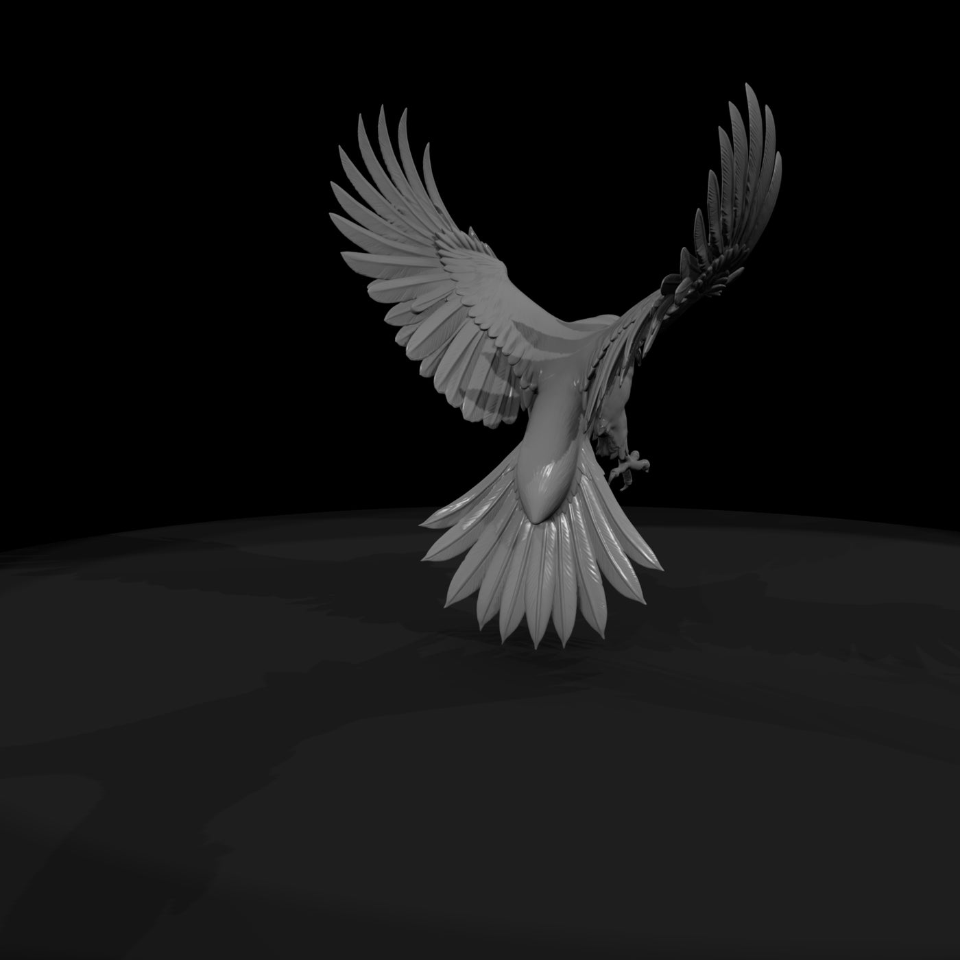 20260612-black-flying-raven-72becd3757