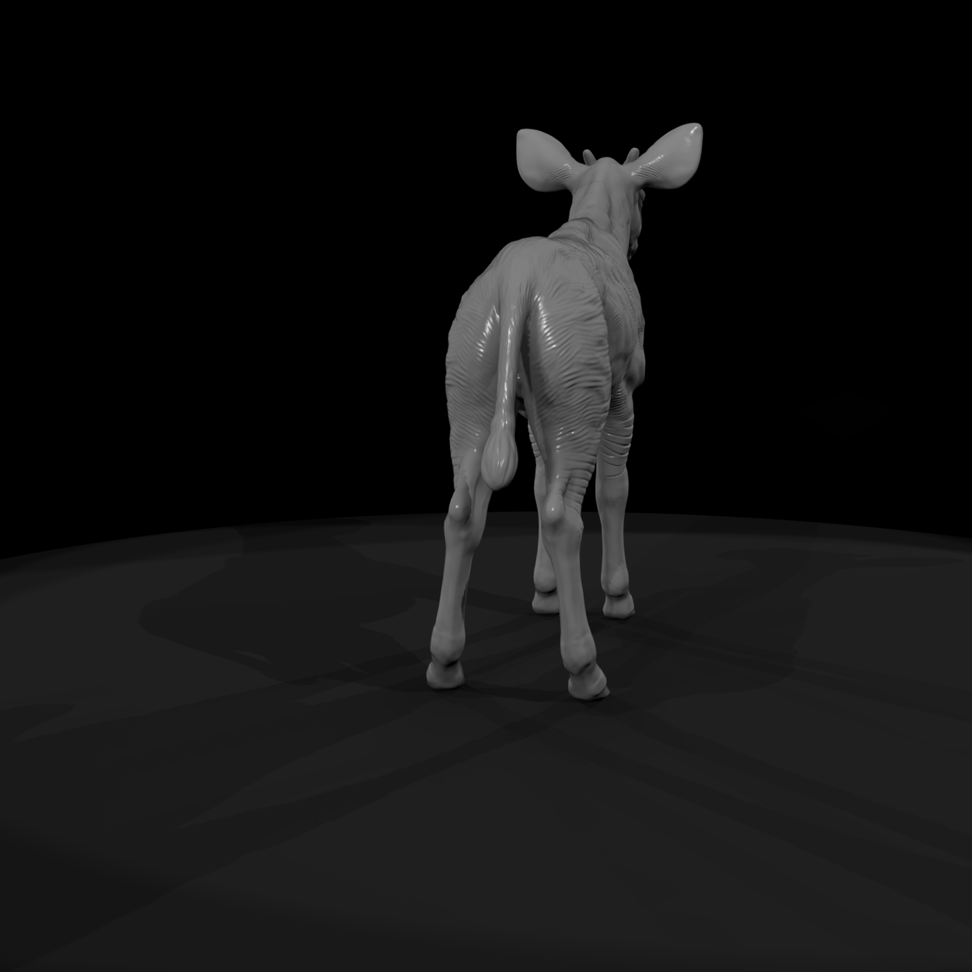 Okapi