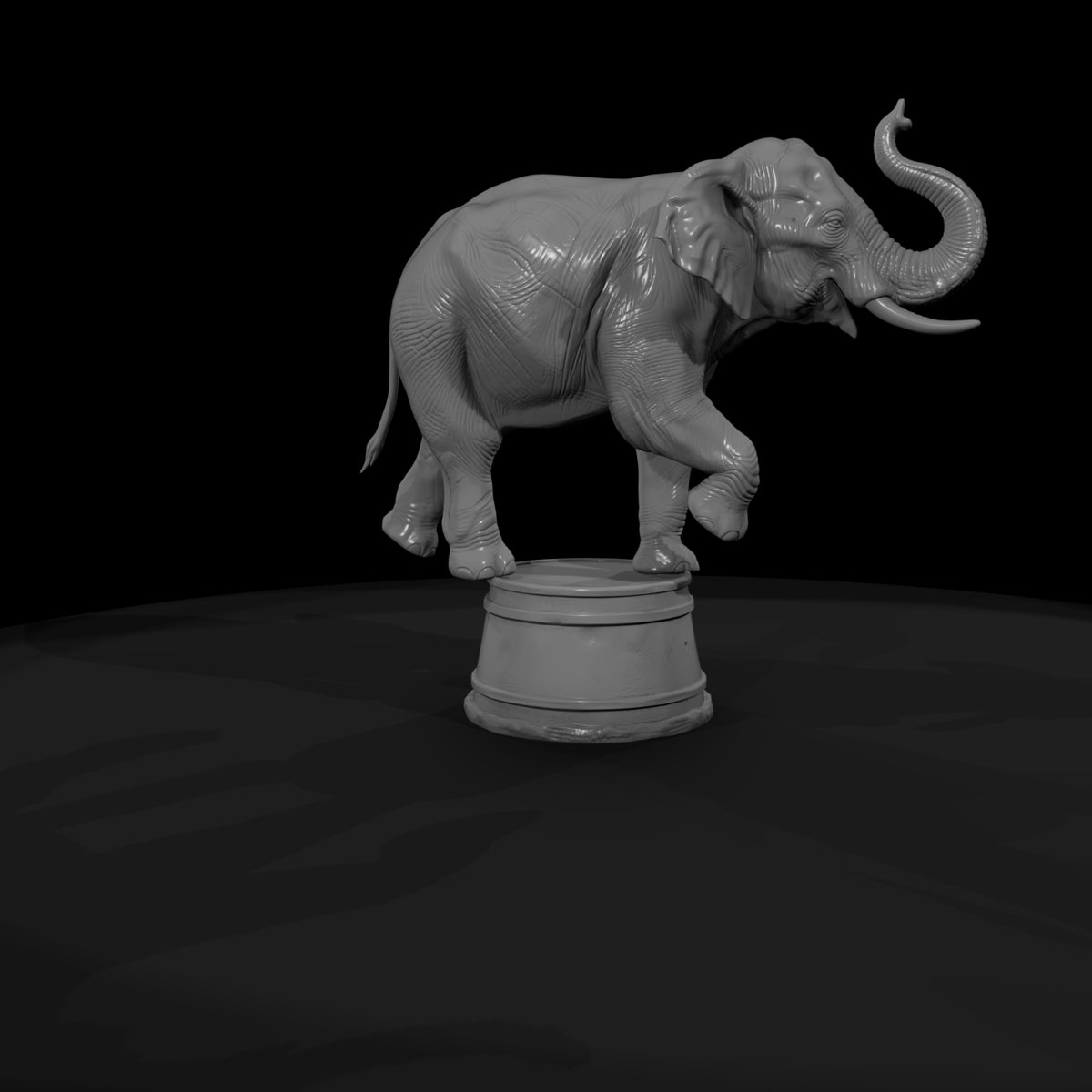 cir-111-animal-circus-elephant-on-tub